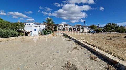 Alyki, Paros Bauernhöfe, Landwirtschaft, Alyki, Paros Forstwirtschaft
