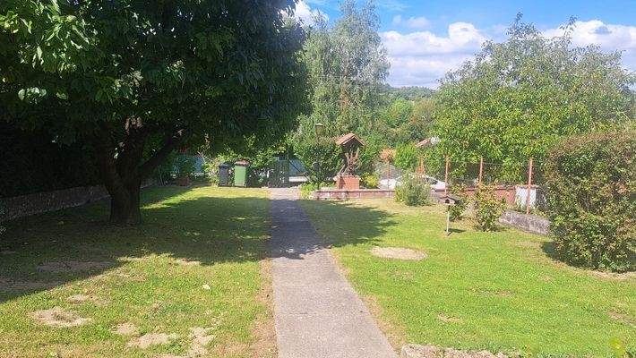 Garten mit Herzkirschbaum