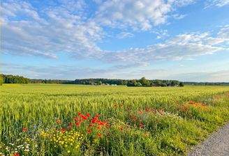 Ackerland