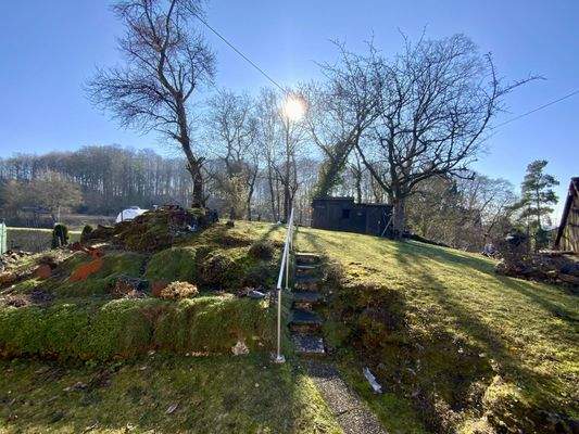 Zugang Garten / Wiese