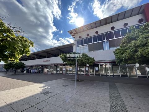 Erfurt Ladenlokale, Ladenflächen 