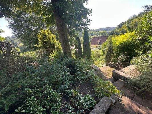 Impressionen des Grundstücks 