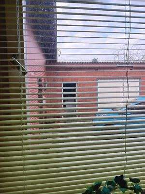 Blick v. Küche in den Hof