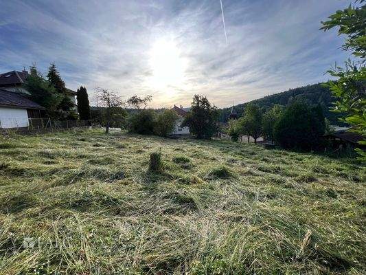 Traumgrundstück...