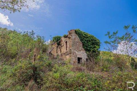 Greve in Chianti Häuser, Greve in Chianti Haus kaufen