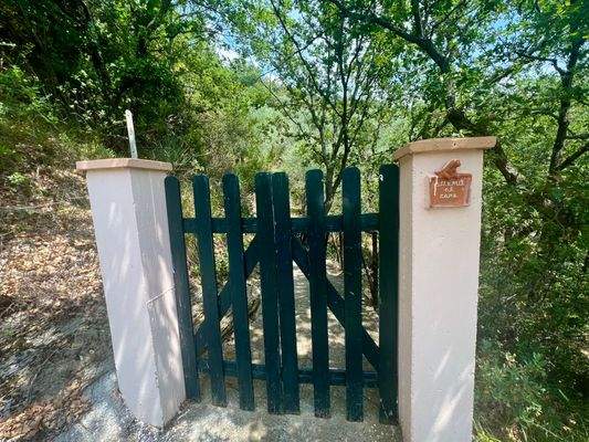 AP915_25 TERRA ITALIA IMMOBILIEN_LIGURIEN_APRICALE