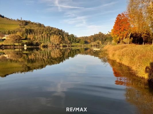 Sulmsee11
