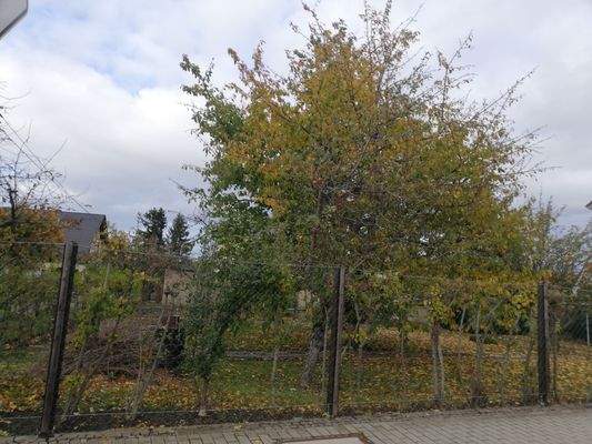 Südöstliche Straßeseite.jpg