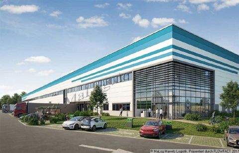 Schönefeld Halle, Schönefeld Hallenfläche