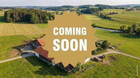 Altötting Bauernhöfe, Landwirtschaft, Altötting Forstwirtschaft