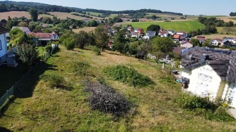 Neckarbischofsheim Grundstücke, Neckarbischofsheim Grundstück kaufen