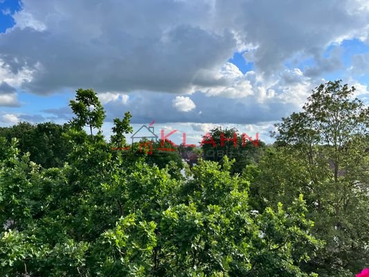 Blick zur Elbe