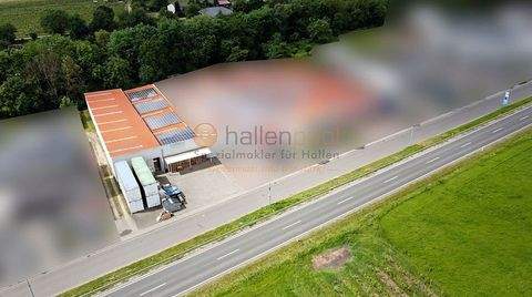 Wallhausen Halle, Wallhausen Hallenfläche