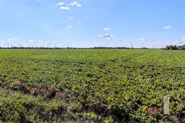 Baugebiet "Alter Sportplatz"