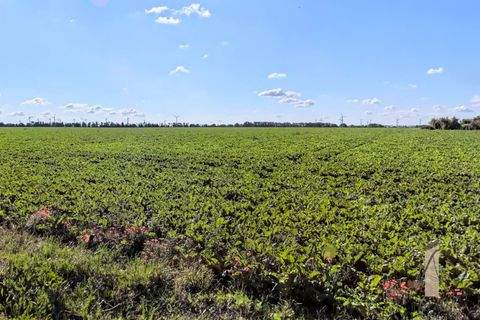 Rottmersleben Grundstücke, Rottmersleben Grundstück kaufen