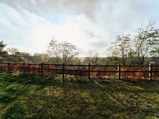Südterrasse mit Ausblick