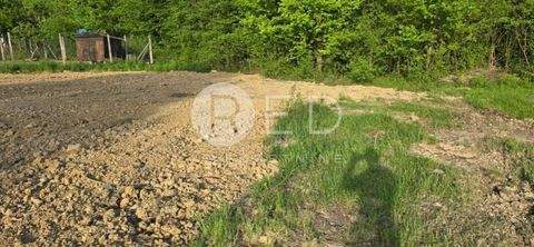 Dugo Selo Bauernhöfe, Landwirtschaft, Dugo Selo Forstwirtschaft