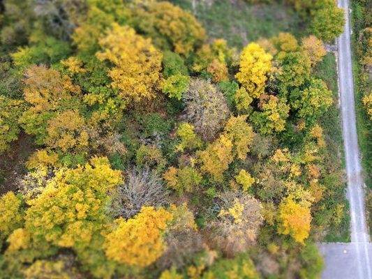 Draufsicht-Baugrundstück