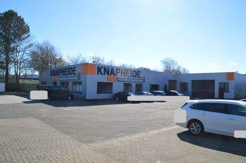 Kaltenkirchen Halle, Kaltenkirchen Hallenfläche