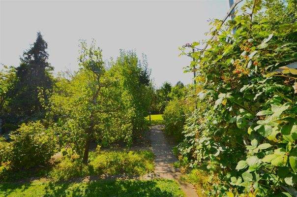 Garten 5