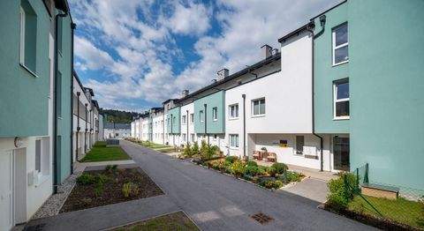 Schwarzau am Steinfeld Wohnungen, Schwarzau am Steinfeld Wohnung mieten