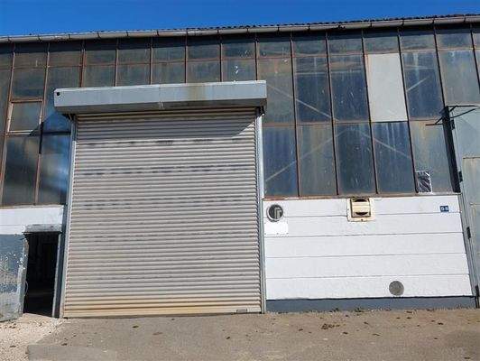 shared image (10).jpeg