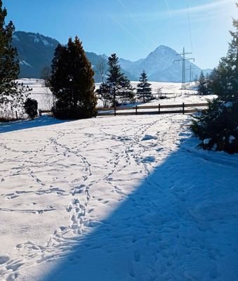 Loipe hinterm Haus Sonthofen - Oberstdorf