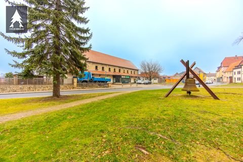 Falkenstein/Harz Wohnungen, Falkenstein/Harz Wohnung mieten