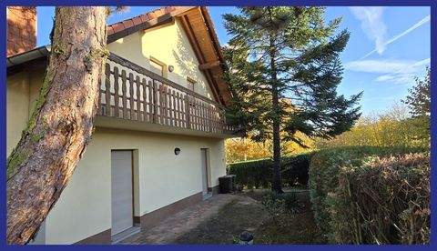 Apolda Häuser, Apolda Haus kaufen