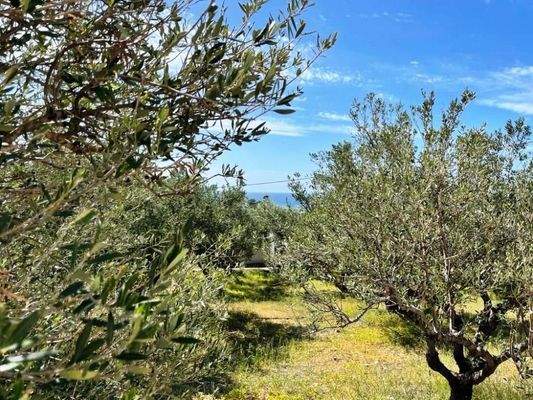 Südostkreta, Makry Gialos: Grundstück mit Meerblick zu verkaufen