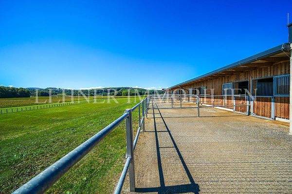 Lehner Immobilien Bild 78