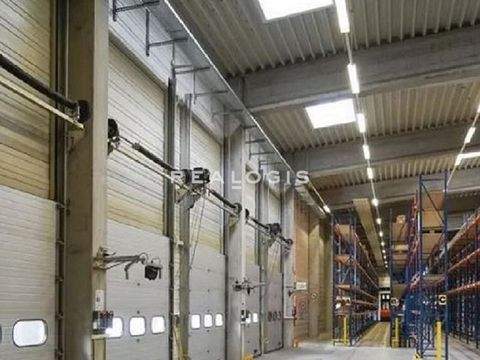 Landau an der Isar Halle, Landau an der Isar Hallenfläche