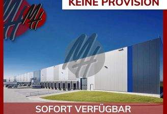 INFOS UNTER: 06171-586000