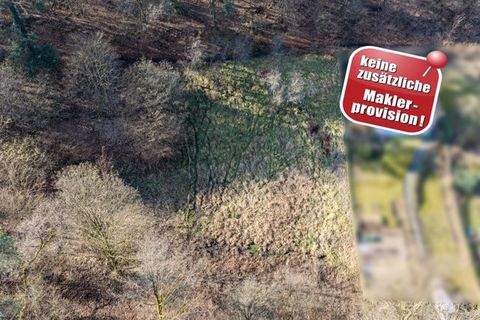 Wetzlar / Nauborn Grundstücke, Wetzlar / Nauborn Grundstück kaufen