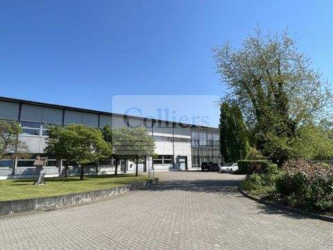 Geesthacht Halle, Geesthacht Hallenfläche