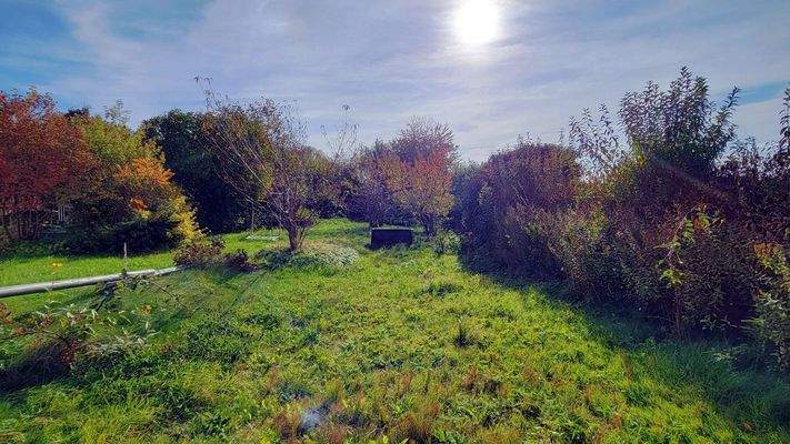 Garten hinter dem Haus