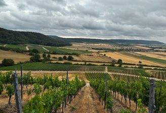 Weinregion Abtswind, FlNr. 744 im Vordergrund.