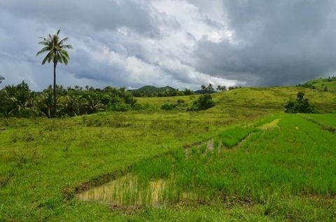 Odiongan Grundstücke, Odiongan Grundstück kaufen