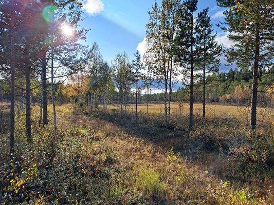 See am Sägewerk 2.jpg