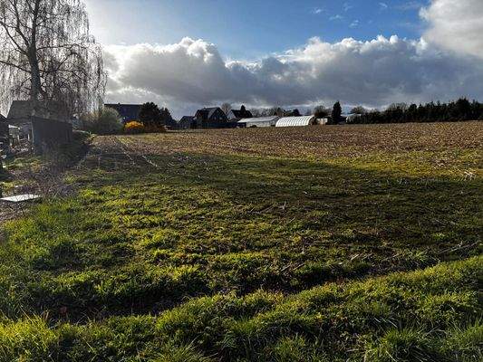 WhatsApp Image 2026-03-301 at 18.14.08.jpeg