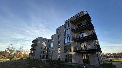 Geesthacht Wohnungen, Geesthacht Wohnung kaufen