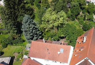 Grundstück mit dem Bestandshaus mittig