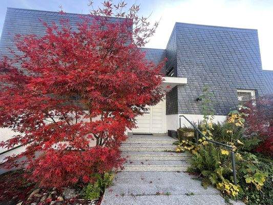 Repräsentative Vorderansicht