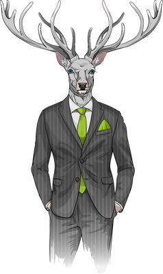 Wir kümmern uns um Vermietung und Verkauf