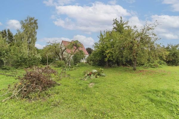 Garten mit Blick aufs Haus