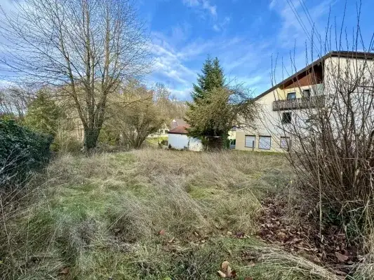 465af064-43ce-4ecb-8253-4f175c075389-1940483836.we