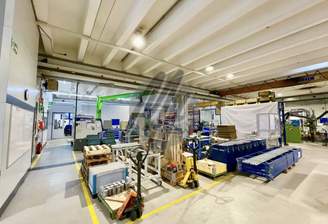 INFOS UNTER: 06171-586000