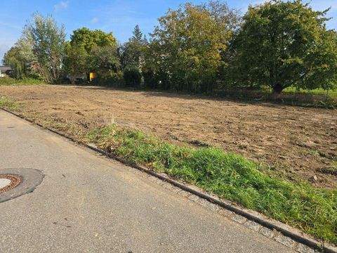 Bad Krozingen Häuser, Bad Krozingen Haus kaufen