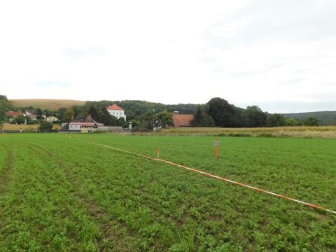 Niederkreuzstetten Grundstücke, Niederkreuzstetten Grundstück kaufen