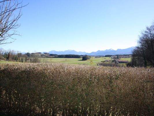 Ausblick vom Garten.jpg